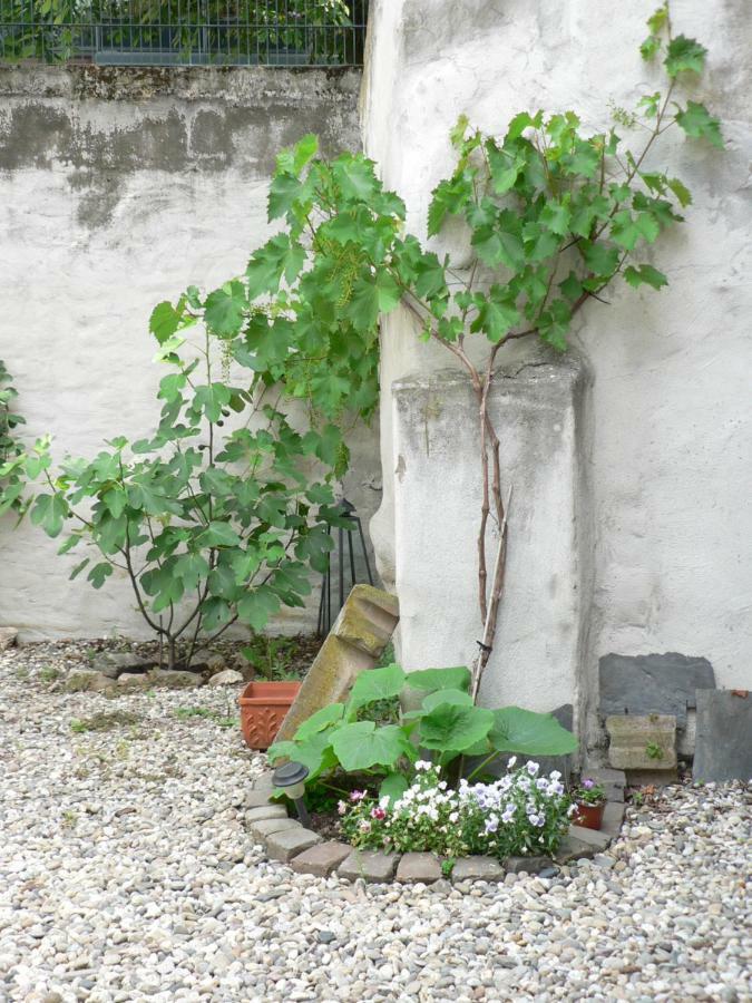 Gaestehaus Cheval Blanc 로르히 암 르하인 외부 사진